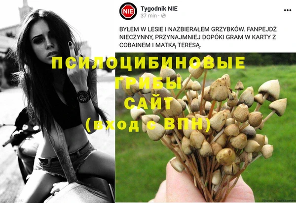 марки nbome Верея